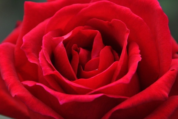 ġۥХ 饤顼ڥꥢ  6ȭʡJ-HT20