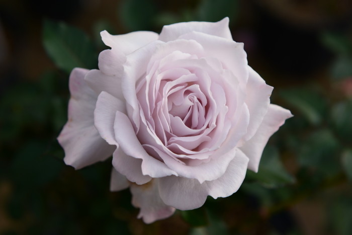 Хġġۥߥ˥!  6ȭʡηʼϡKb-KBO