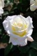 Хġڿġۥǥѡƥ ġJ-HT20