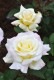 Хġڿġۥǥѡƥ ġJ-HT20