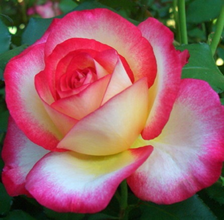 Хġġۥ쥪ե  6ȭʡηʼϡKb-NLP