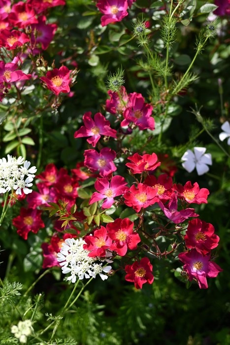 �Х��ġ����ġۥ��ͥå� ���� 6��ȭ�����ʡ����ӿ建�� �ʼ���Ͽ�д���ϡ�Kb-RM��2025�տ��ʼ�