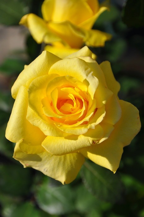 ġۥХ ǥ  6ȭʡJ-HT20