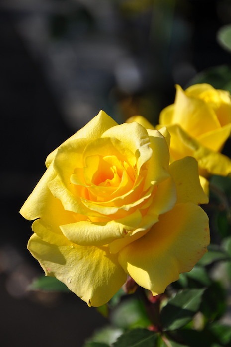 ġۥХ ǥ  6ȭʡJ-HT20