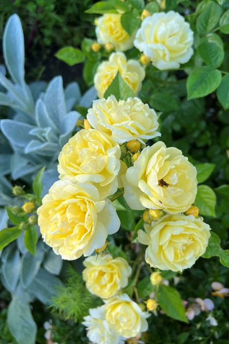 �Х��ġ����ġۥץ������ ���� 6��ȭ�����ʡ����ӿ建�� �ʼ���Ͽ�д���ϡ�Kb-RM��2025�տ��ʼ�