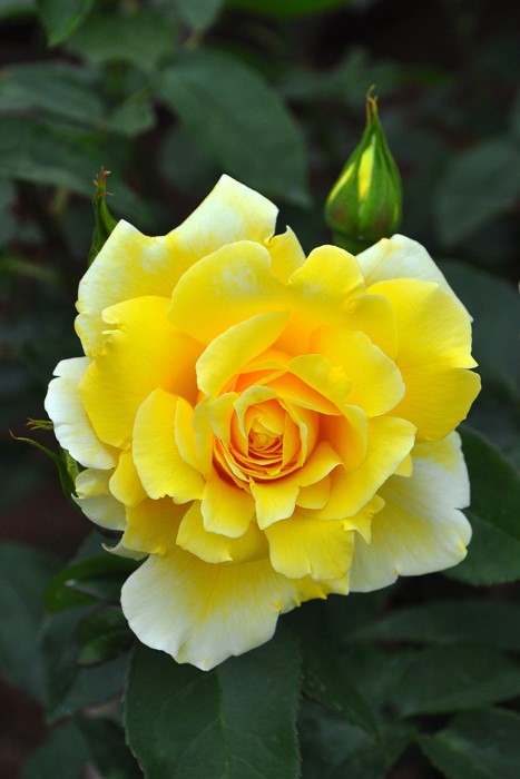 ڥ若ۡġۥХ ɥեȥ  6ȭʡJ-HT20 ָ