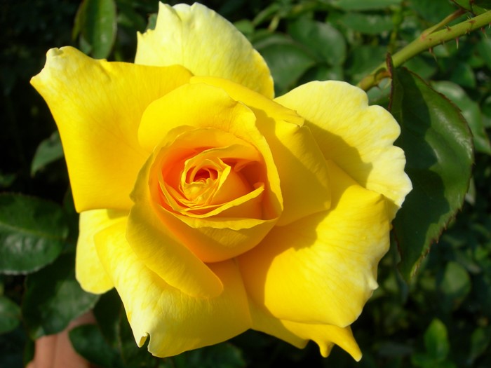 ڥ若ۡġۥХ ɥեȥ  6ȭʡJ-HT20 ָ