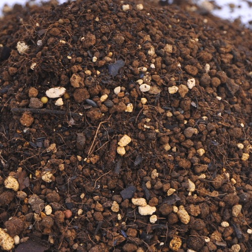 5åȥڥץߥڡ5åȥ ZIK-10000