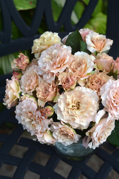 ���ߵ����ġۥХ��� ������ ���� 6��ȭ�����ʡ����ӿ建�� �ʼ���Ͽ�д���ϡ�Han-HS�ա�0109�����