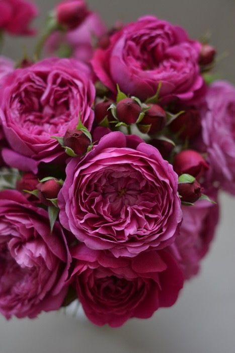 �Х��ġ����ġۥ���ȥʡ����� ���� 6��ȭ�����ʡ����ӿ建�� ��Ͽ�ʼ�ϡ�Kb-RM��