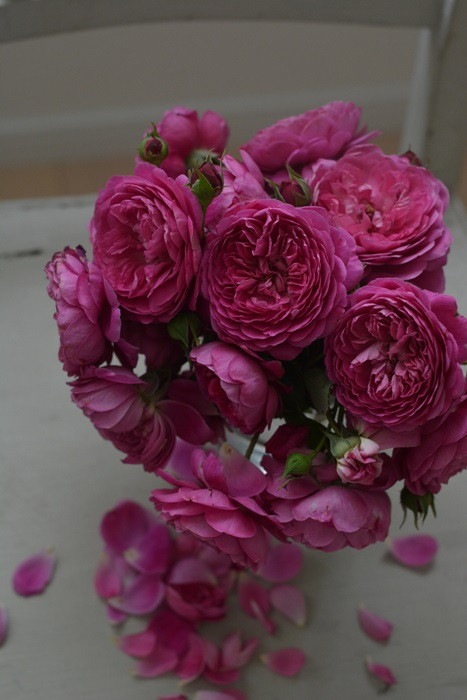 �Х��ġ����ġۥ���ȥʡ����� ���� 6��ȭ�����ʡ����ӿ建�� ��Ͽ�ʼ�ϡ�Kb-RM��