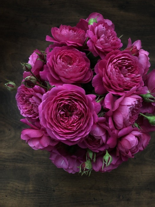 �Х��ġ����ġۥ���ȥʡ����� ���� 6��ȭ�����ʡ����ӿ建�� ��Ͽ�ʼ�ϡ�Kb-RM��