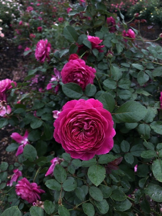 �Х��ġ����ġۥ���ȥʡ����� ���� 6��ȭ�����ʡ����ӿ建�� ��Ͽ�ʼ�ϡ�Kb-RM��