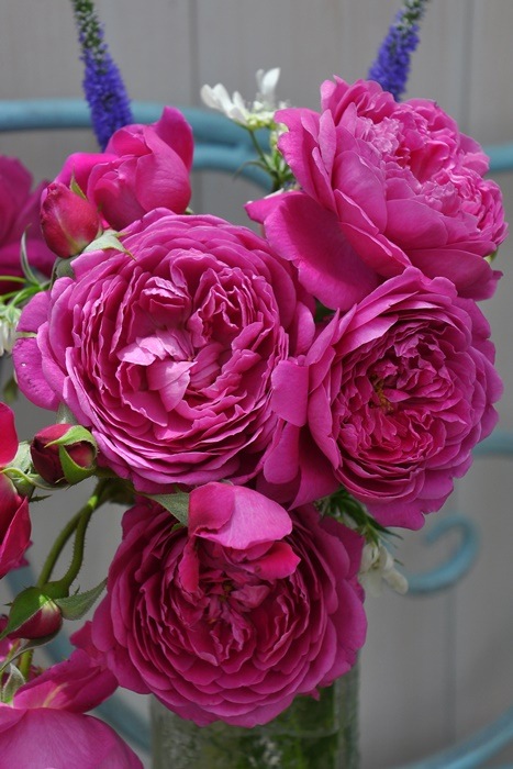 �Х��ġ����ġۥ���ȥʡ����� ���� 6��ȭ�����ʡ����ӿ建�� ��Ͽ�ʼ�ϡ�Kb-RM��