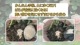 ��γ�����סۥޥ������� �٥˥�BT����γ�� 500g�� ���ڥ��åȤ�Ʊ���Ģ�(2�Ĥޤ�) ZIK-10000