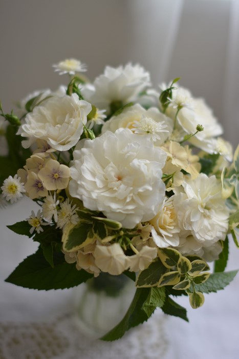 ���ߵ����ġۥХ��� ���ȥ��֥�� ���� 6��ȭ�����ʡ����ӿ建�� �ʼ���Ͽ�д���ϡ�Kb-RM�ա�0116�����