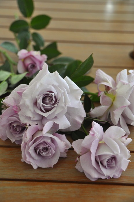 ڥ若ۡġۥХ 夦ή  6ȭʡӿ建 ϿʼϡKb-KBO ָ