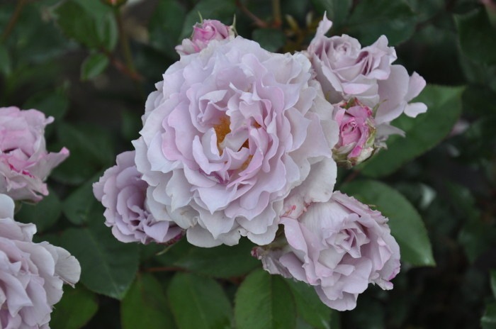 ڥ若ۡġۥХ 夦ή  6ȭʡӿ建 ϿʼϡKb-KBO ָ