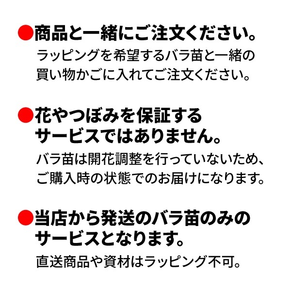 ��ͭ���ۥ�åԥ� �Х����� ZIK-10000