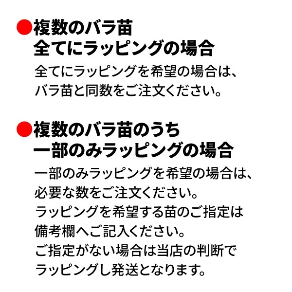 ��ͭ���ۥ�åԥ� �Х����� ZIK-10000