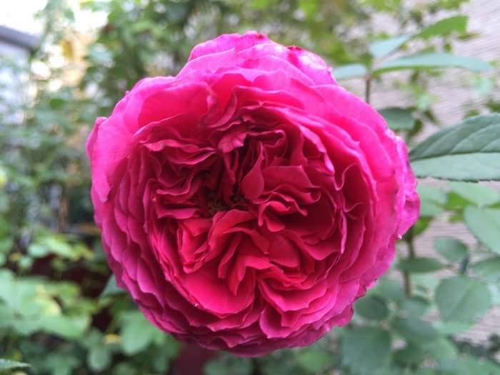 ġۥХ åɥɥ  6ȭʡηʼϡJB-HR