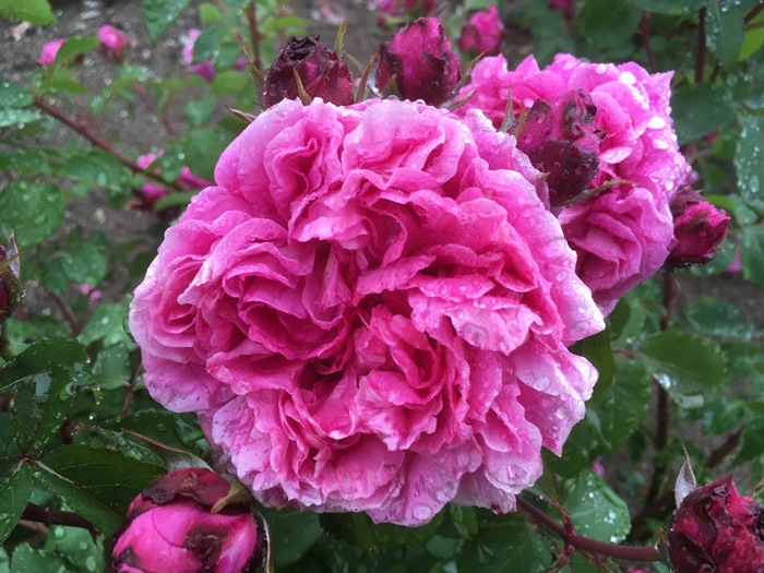 ġۥХ åɥɥ  6ȭʡηʼϡJB-HR