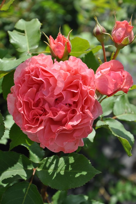 ġۥХ 顼楸  6ȭʡӿ建 ϿʼϡKb-KBO