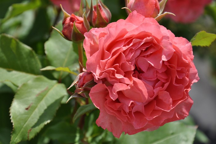 ġۥХ 顼楸  6ȭʡӿ建 ϿʼϡKb-KBO