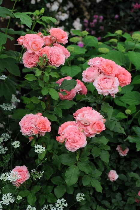 ġۥХ 顼楸  6ȭʡӿ建 ϿʼϡKb-KBO