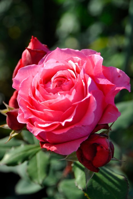 ġۥХ 顼楸  6ȭʡӿ建 ϿʼϡKb-KBO