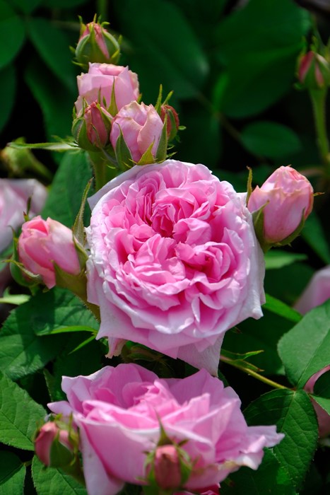 ġۥХ ȥɥܡ  6ȭʡJ-OB10