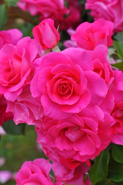 Хġġۥڤ  6ȭʡηʼϡJ-IRM3