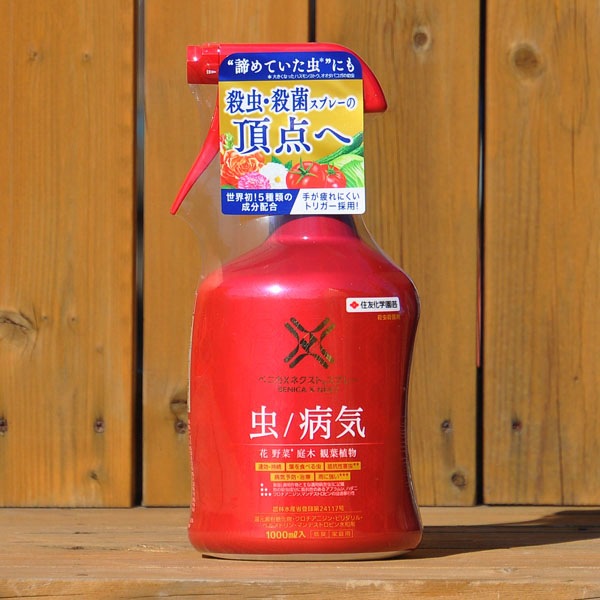 �ڥͥ����ȡۥ٥˥�X�ͥ����ȥ��ץ졼 1000ml ZIK-10000