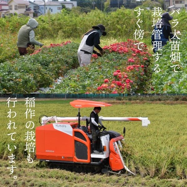 ơ7ǯƥ5kg Хβȿͻҥڻľ