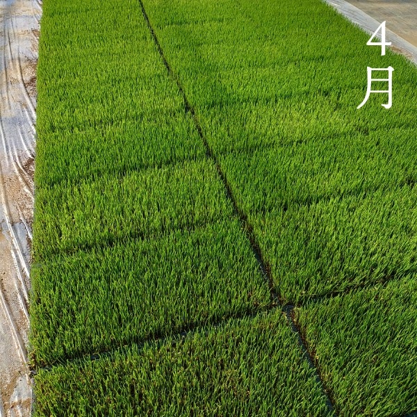 ơ7ǯƥ5kg Хβȿͻҥڻľ