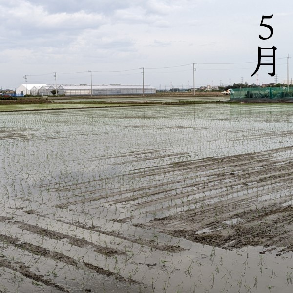 ơ7ǯƥ5kg Хβȿͻҥڻľ