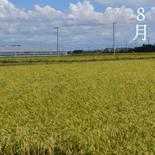 ơ7ǯƥ5kg Хβȿͻҥڻľ