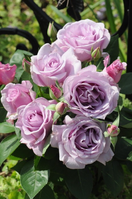 ġۥХ 饤  6ȭʡӿ建 ϿʼϡKb-KBO