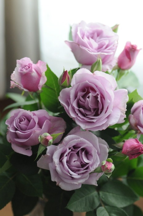 ġۥХ 饤  6ȭʡӿ建 ϿʼϡKb-KBO