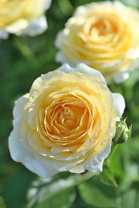 ġۥХ ȥɡ  6ȭʡӿ建 ʼϿдϡHan-DEL