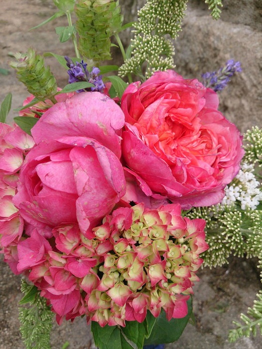 �Х��ġ����ġۥե�ޥ������ ���� 6��ȭ�����ʡ����ӿ建�� �ʼ���Ͽ�д���ϡ�Han-DEL��