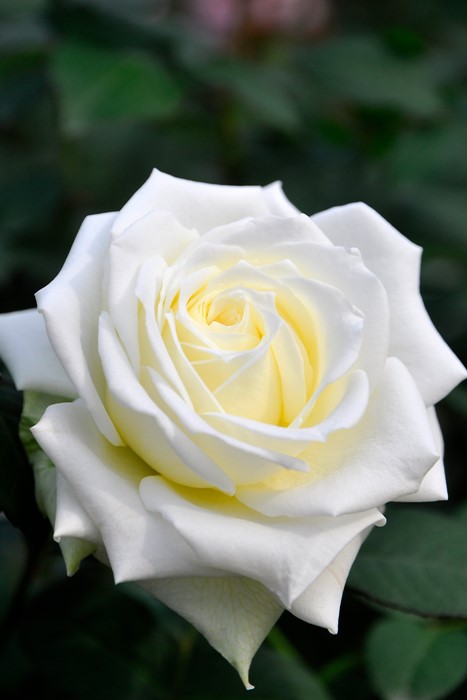 ġۥХ ƥͥ  6ȭʡJ-HT10