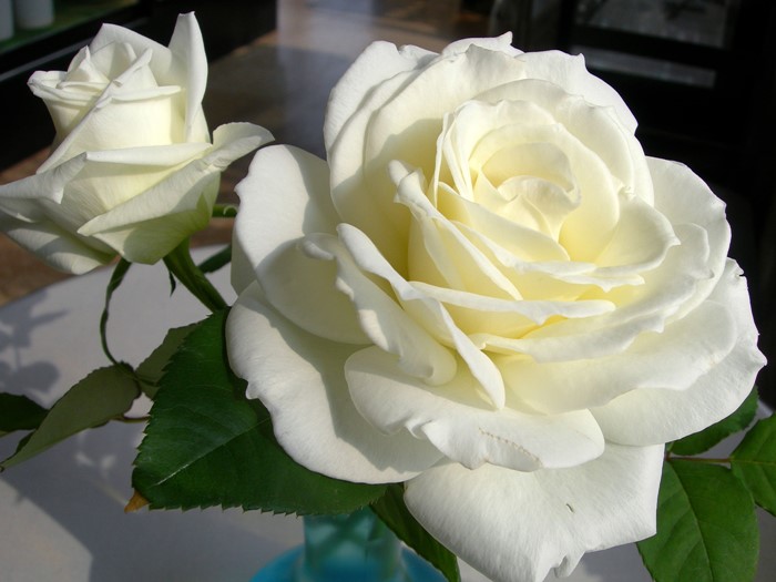 ġۥХ ƥͥ  6ȭʡJ-HT10