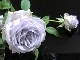 ġۥХ ڰ  6ȭʡӿ建 ϿʼϡKb-KBO