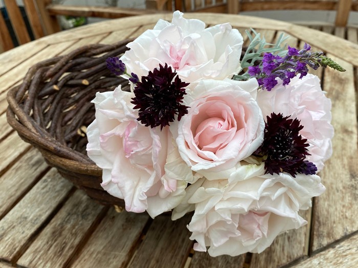 �Х��ġ����ġۥ���ĥ����� ���� 6��ȭ�����ʡ����ӿ建�� �ʼ���Ͽ�д���ϡ�IR-IRO3��