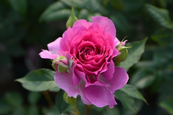 ġۥХ 饶  6ȭʡӿ建 ϿʼϡJ-RO