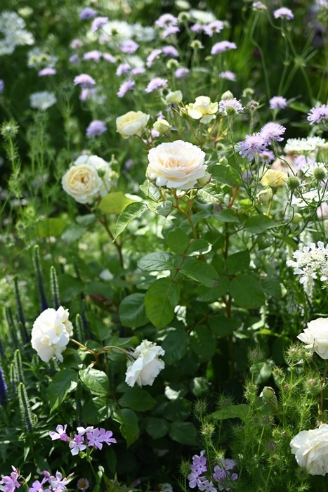 ���ߵ����ġۥХ��� ����� ���� 6��ȭ�����ʡ����ӿ建�� �ʼ���Ͽ�д���ϡ�Kb-RM�ա�0116�����