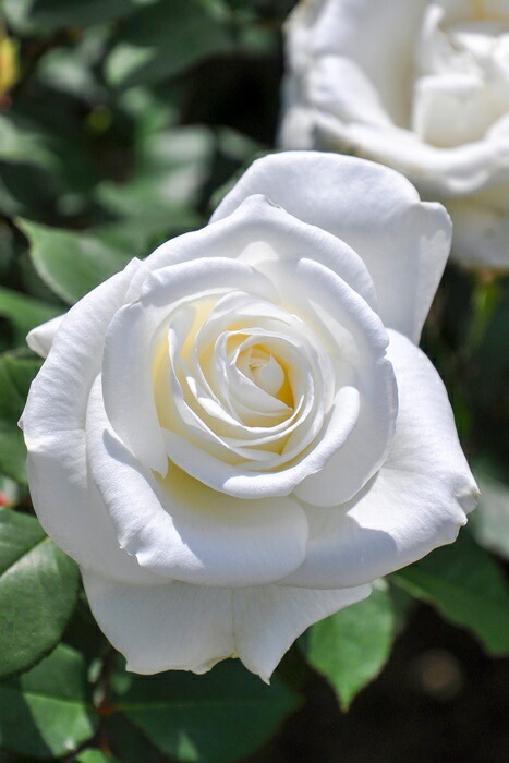 ġۥХ 業  6ȭʡJ-HT20