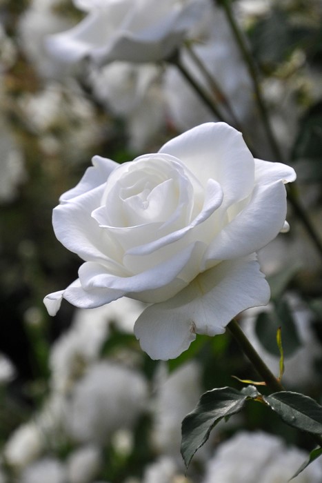 ġۥХ 業  6ȭʡJ-HT20