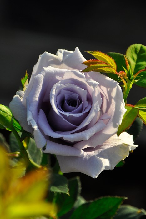 ġۥХ 夦ζ  6ȭʡJB-KAI